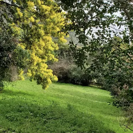 Apartament Logis Poniente *